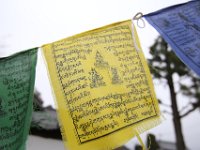 IMG 3591  ネパールのカトマンズで購入したチベット仏教のタルチョを飾りました